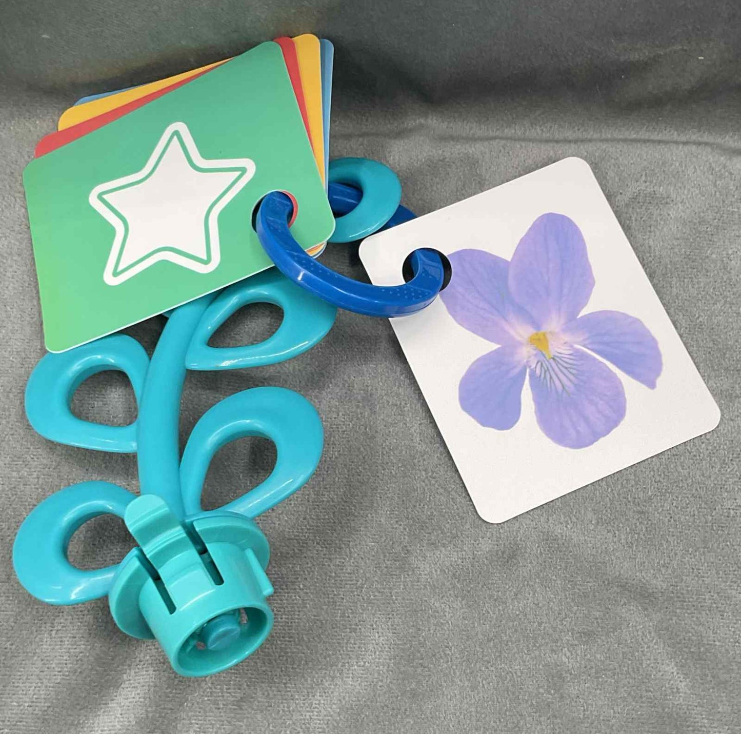 Baby Einstein Farm Explorers Barnyard Jumper Replacement Vine Fruit Cards Toy
